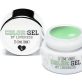 LoveNess Color Gel CG30 Lime Sorbet