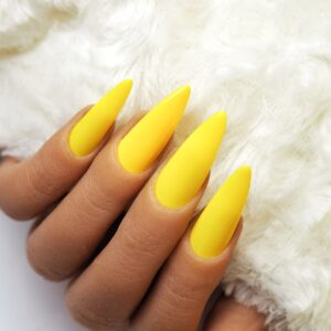 Lecenté Create Great Scott Matte